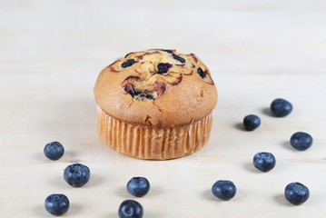 Blueberries muffin on wooden background