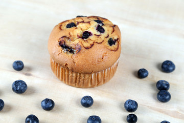 Blueberries muffin on wooden background