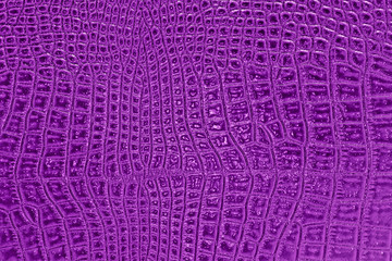 Abstract crocodile leather, can use as background