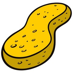 Sponge