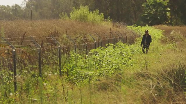 Handsome hispanic man walking alongside grassy road
