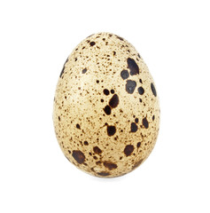 Quail egg on a white background