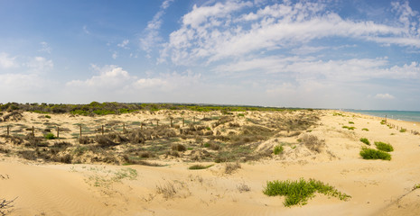 Dunes de La Marina