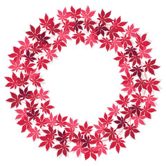 Wreath of branches of red leaves isolated on white background
