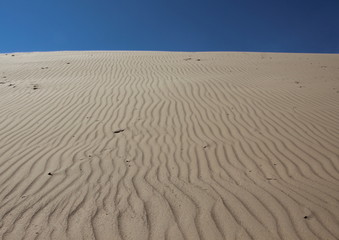 Sand Dune with Wind Patterns and Blue Sky