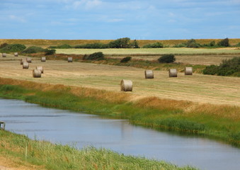 Fototapeta premium Round Straw Bales in Landscape Field with River