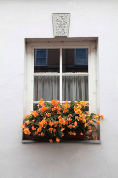old window with flowers in Vilnius, Lithuania