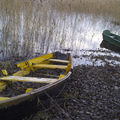 Ruined Rowing Boats