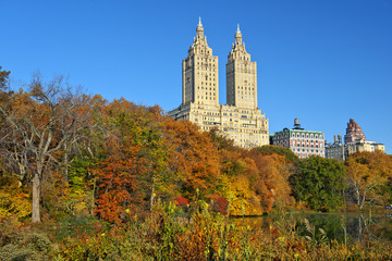 Fototapeta na wymiar Autumn in Central Park, New York