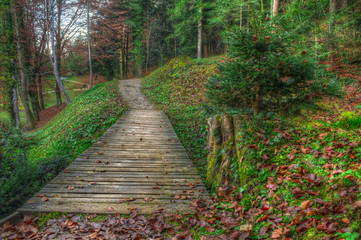 Small walkway bridge in the woods