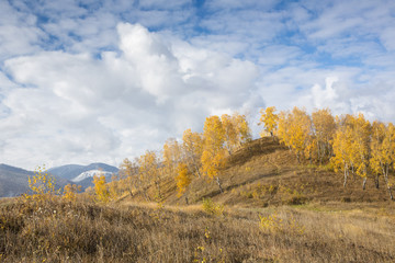 Золото на голубом