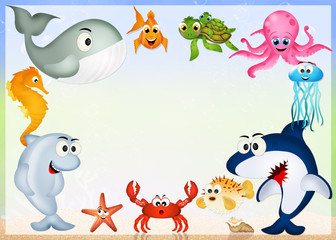 sea animals in the ocean