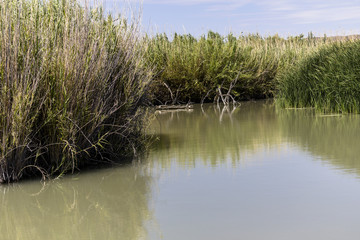 Rio Grande natural border, Texas