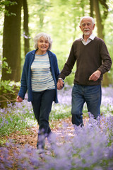 Senior Couple Walking Through Bluebell Wood