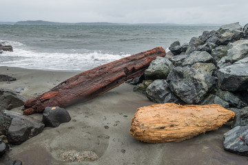 Alki Shoreline - Logs