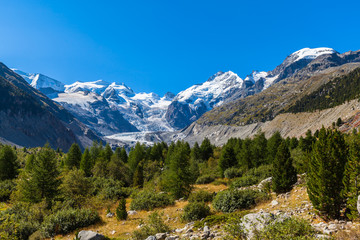 Fototapeta na wymiar Bernina massive and Morteratsch glacier