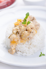 Stewed chicken in a cream with paprika and italian herbs with rice on a white plate