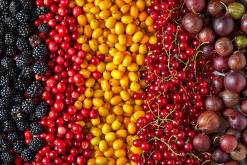 various kinds of berries