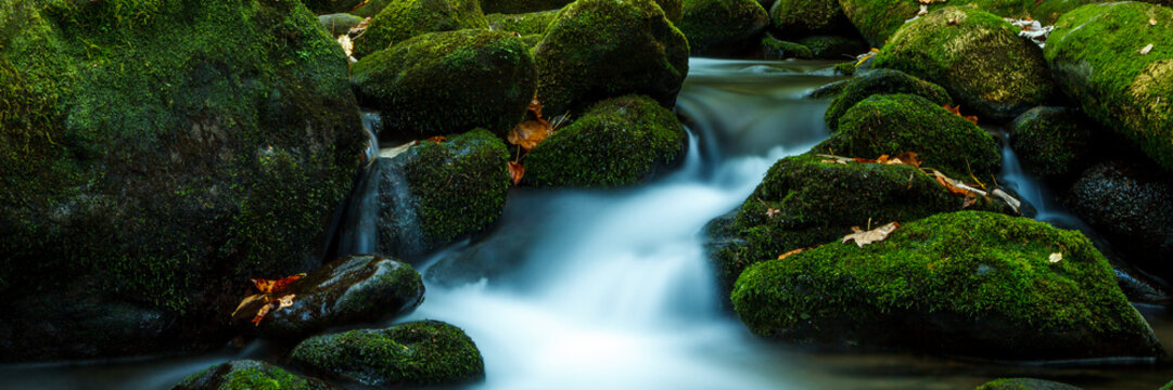Smoky Mountain stream with mossy rocks