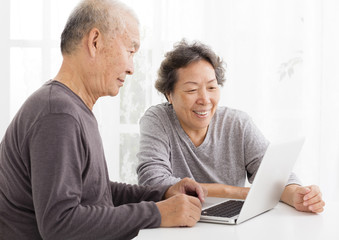 happy Senior Couple Using Laptop in living room