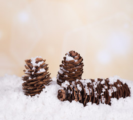 Pine Cones in Snow on a Bright Background