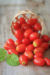 Naklejka na ściany i meble fresh tomatoes with mint leaves