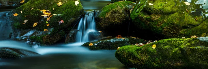  Smoky Mountain stream with mossy rocks © Philip Steury