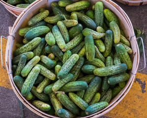Bushel of Cucumbers at a farmers market