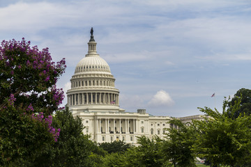 Naklejka premium The Capitol of the US in Washington