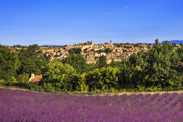 Fototapeta na wymiar Valensole village and lavender. Provence, France