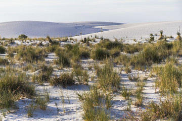 Lost in White Sands Monument