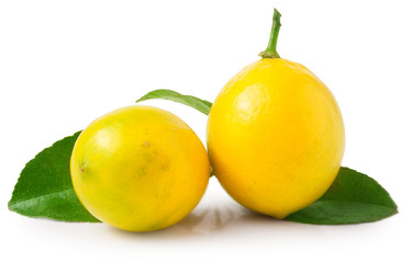 Two lemons with leaf