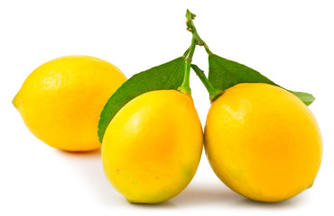 Three lemons on the white background isolated