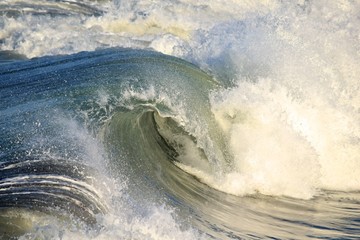 Pacific Ocean Wave