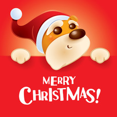 Fototapeta na wymiar Merry Christmas! Christmas puppy with big sign.