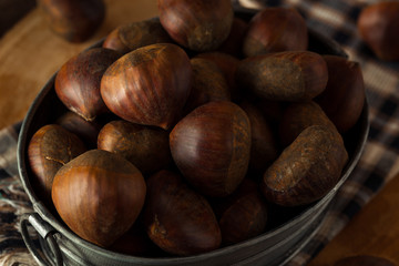Raw Brown Organic Italian Chestnuts