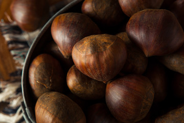 Raw Brown Organic Italian Chestnuts