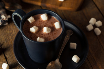 Homemade Warm Hot Chocolate