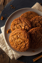 Warm Homemade Gingersnap Cookies