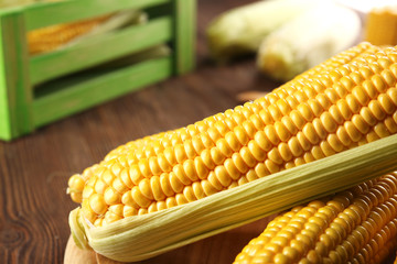 Ripe corn on wooden background