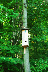 Nesting box on tree