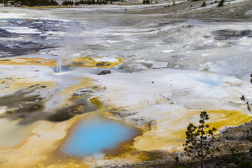 Beautiful Geysir landscape of Yellowstone