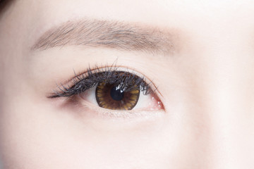 Obraz premium Beautiful woman eye