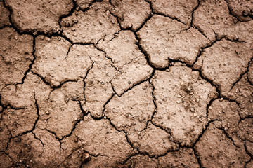 Soi ground covered with cracks