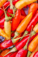 Hot chilli peppers, closeup view