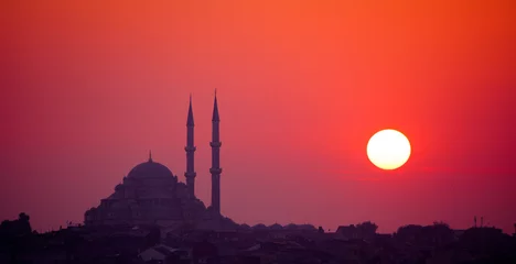 Poster de jardin Mer / coucher de soleil Istanbul sunset