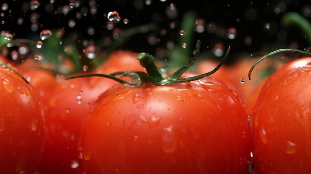 Water splash on tomato shooting with high speed camera.