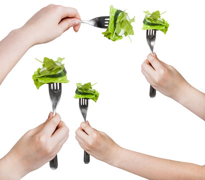 set of forks with impaled fresh green salad