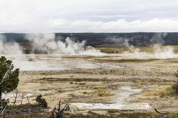 Beautiful Geysir landscape of Yellowstone