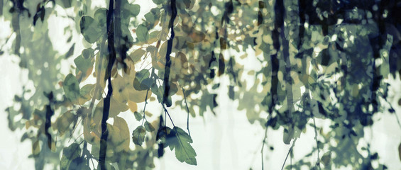 Double exposure of leaves and abstract water reflection letterbo